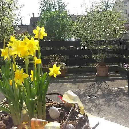 Eulennest-Lu Apartment Лудвигсхафен ам Рейн Екстериор снимка